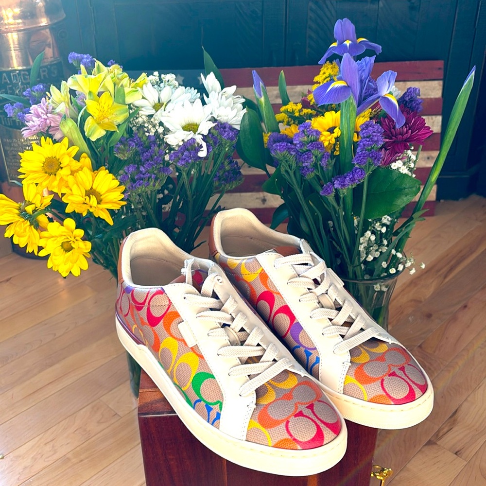 Coach Pride collection shoe